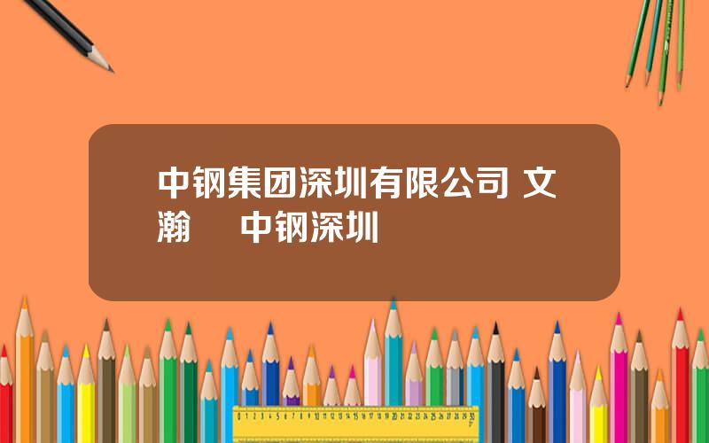 中钢集团深圳有限公司 文瀚旻 中钢深圳